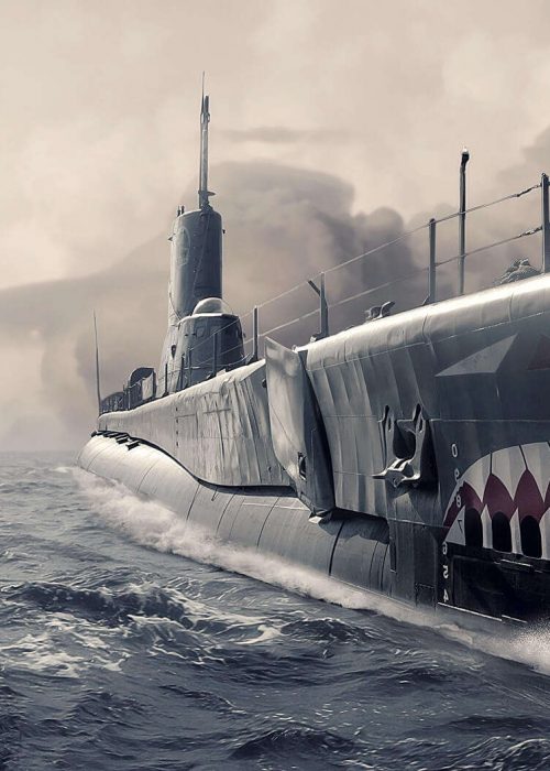 navsis submarine